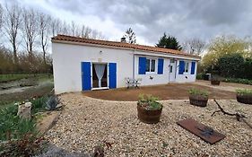 la petite cabane